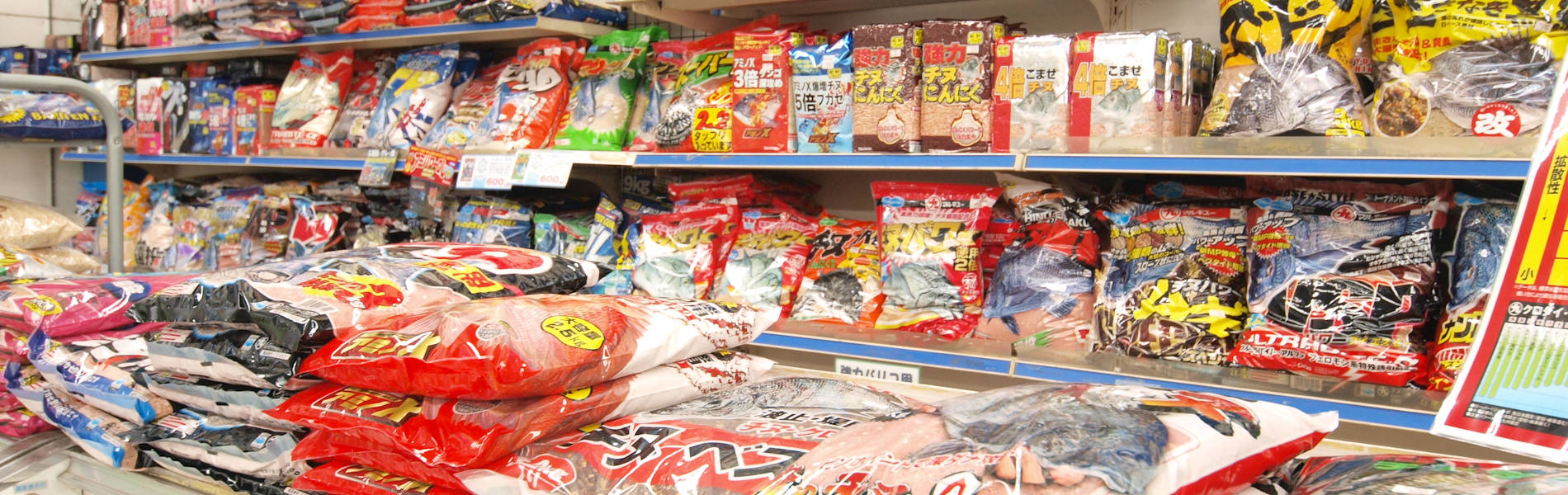 和歌山の釣具えさ専門店 フィッシングクリモト 釣果速報