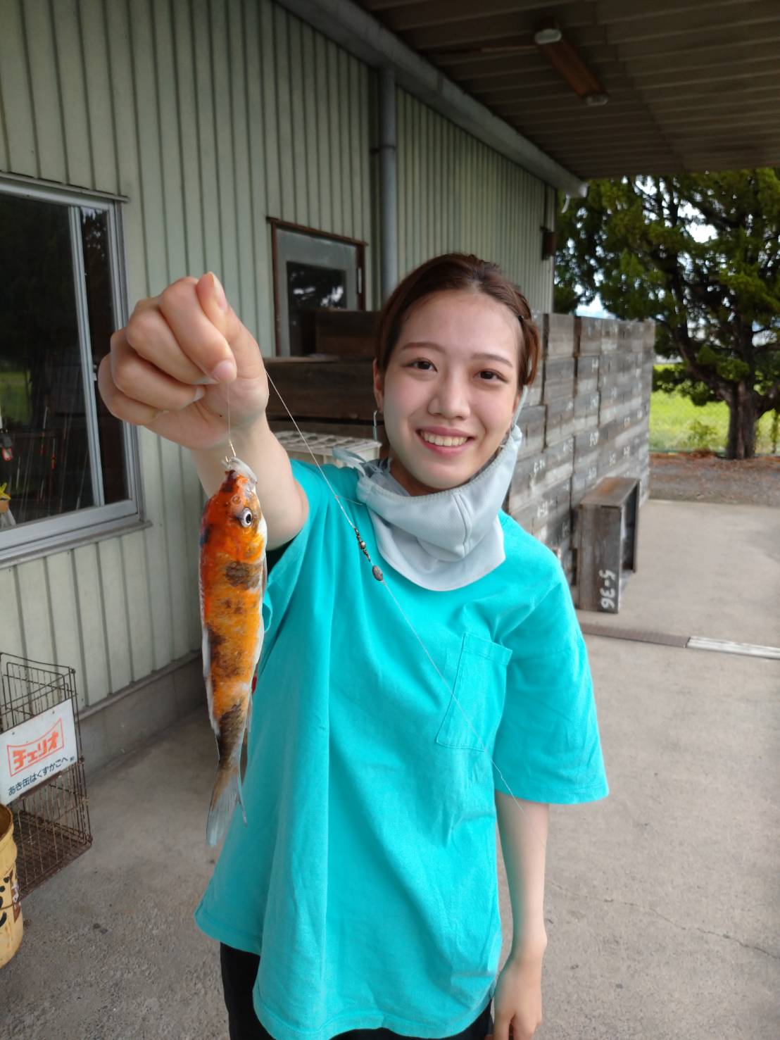 金魚釣り堀行ってきました 和歌山の釣具えさ専門店 フィッシングクリモト 釣果速報
