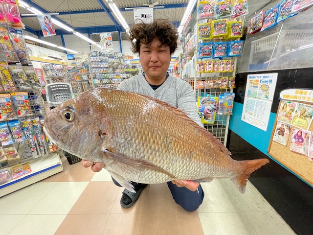 ☆有田の地磯で大型マダイ！ | 和歌山の釣具えさ専門店 フィッシング